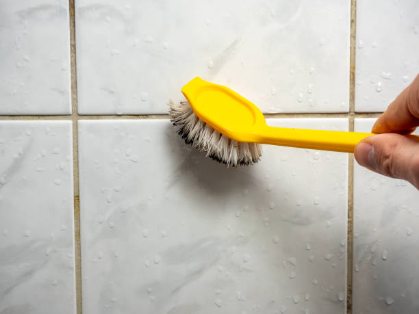 Mold Removal and Inspection in Greenback, TN